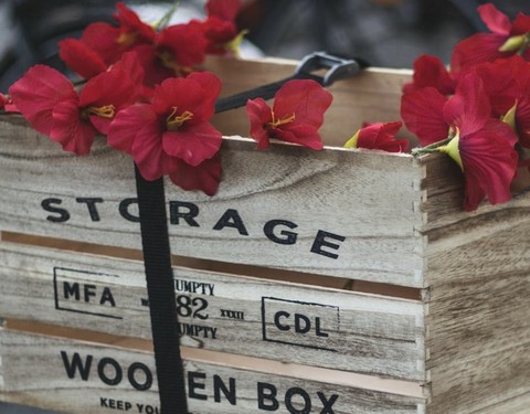 wood, geraniums वॉलपेपर
