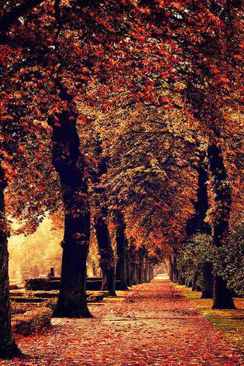 fall time