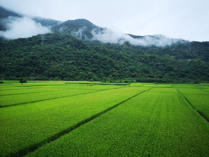 Big green
