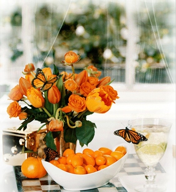 orange picture