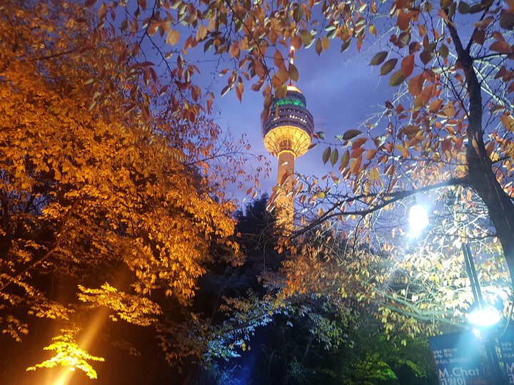 autumn at E world