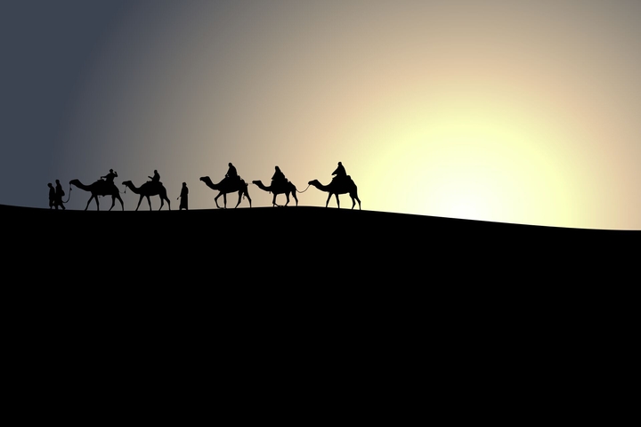 Camel