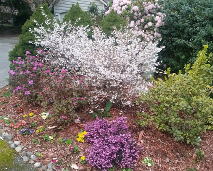 spring 2017