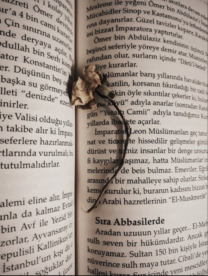 book and flower