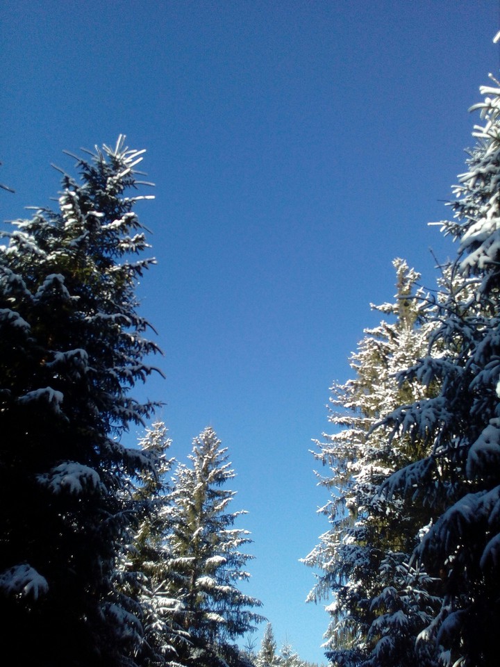 ❄