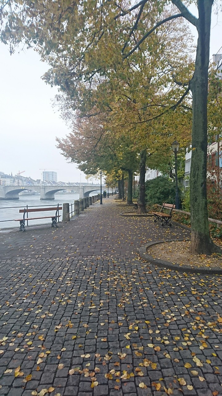 Autumn in Basel