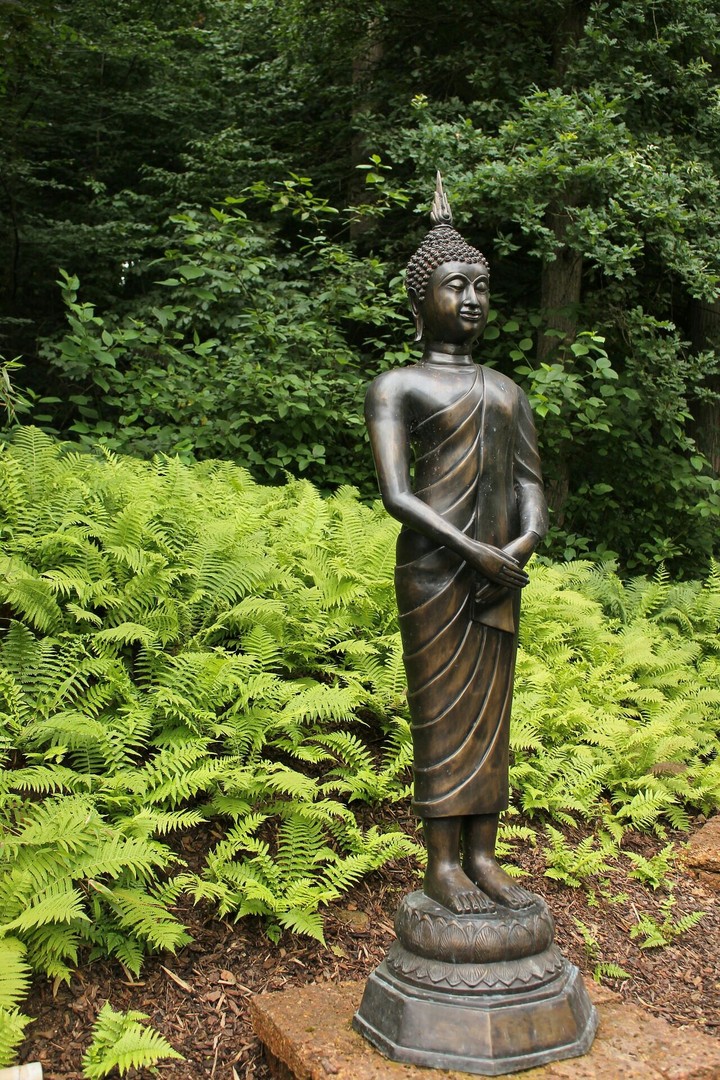 jardim zen