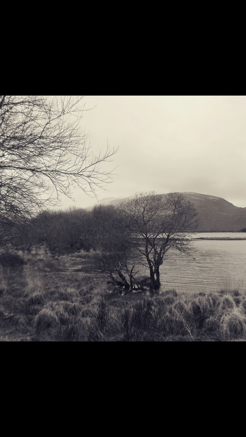 Ireland