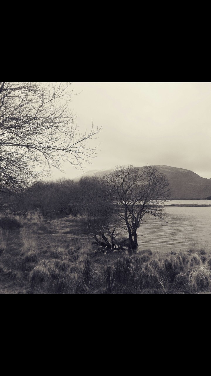 Ireland