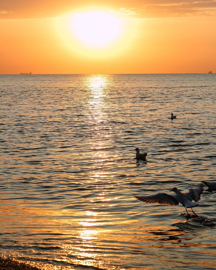 sunset