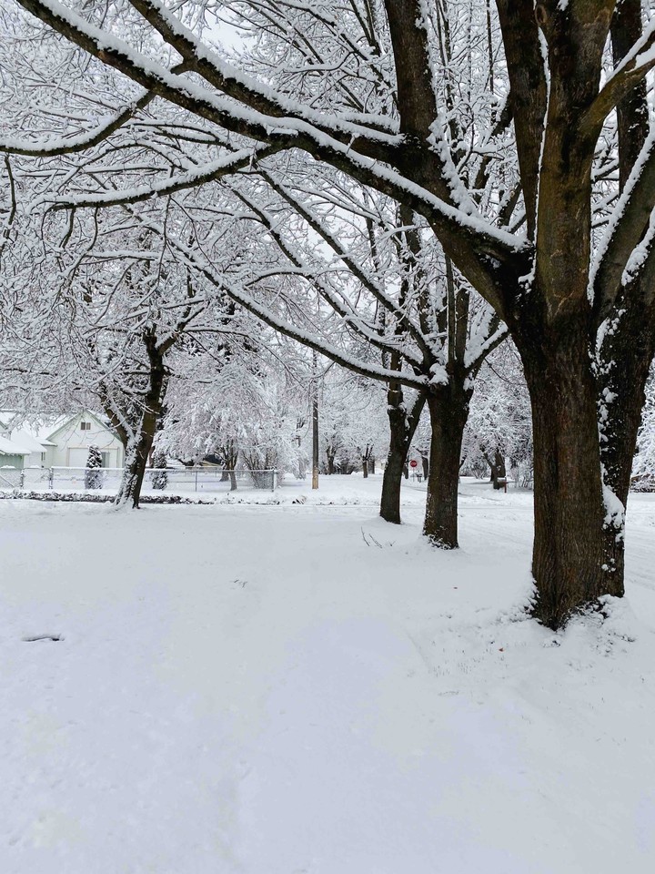 Winter