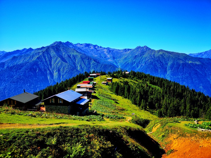 yayla