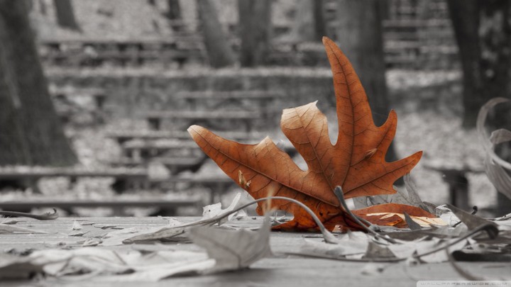 nature