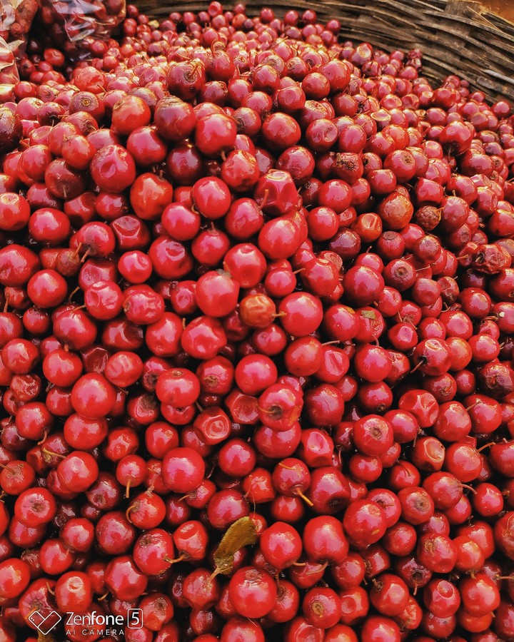 red red berries