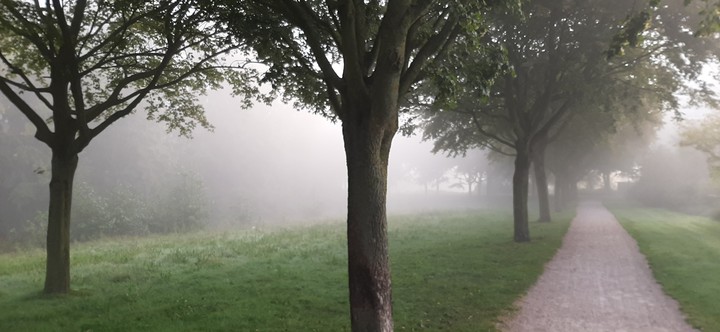 misty in zwolle