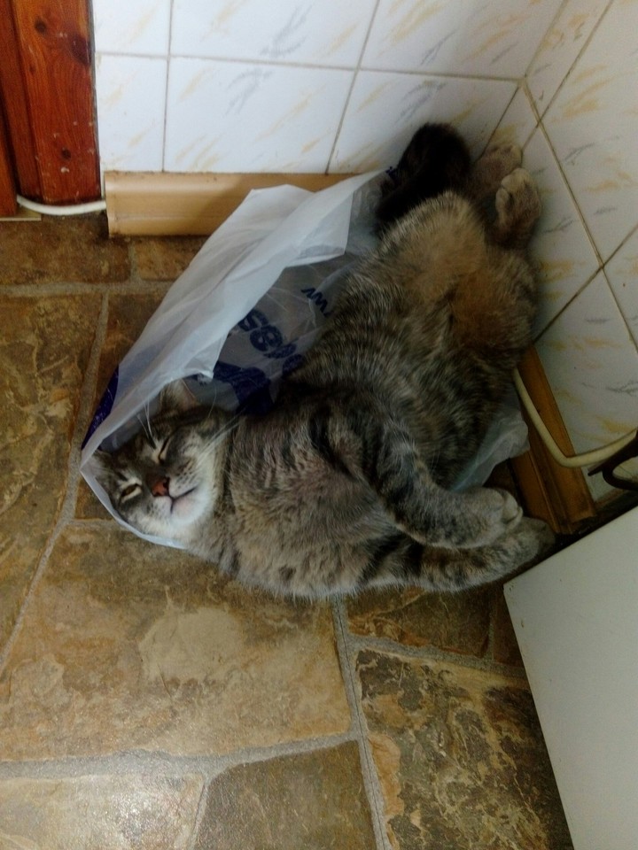 я в порядке