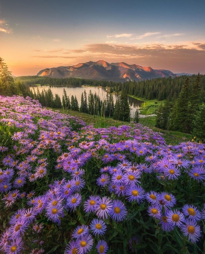 Colorado ,USA...