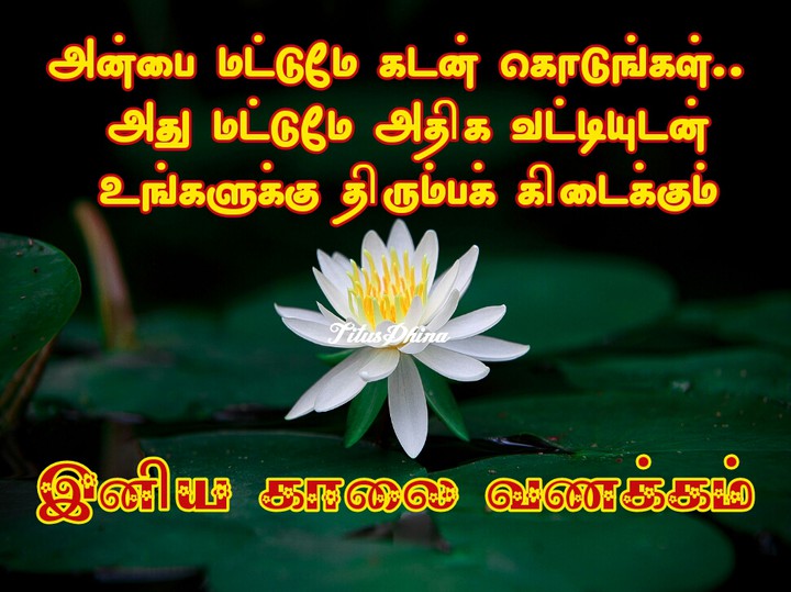 இனிய காலை வணக்கம்