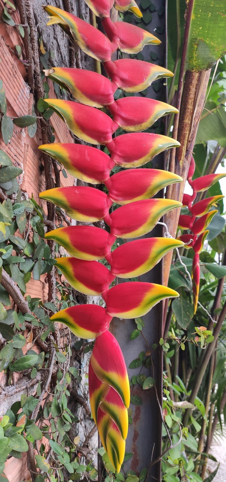 A natureza é perfeita
