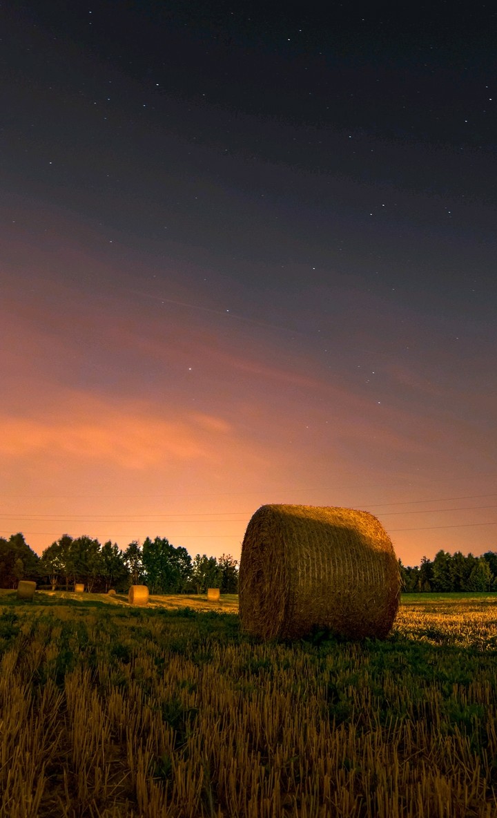hay bails in the pasture at twilight
