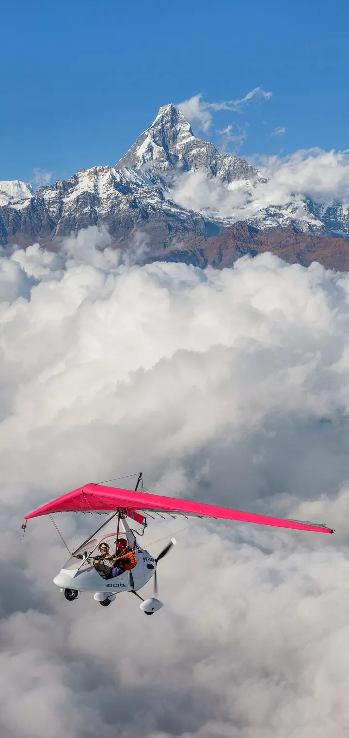 delta wing airplane