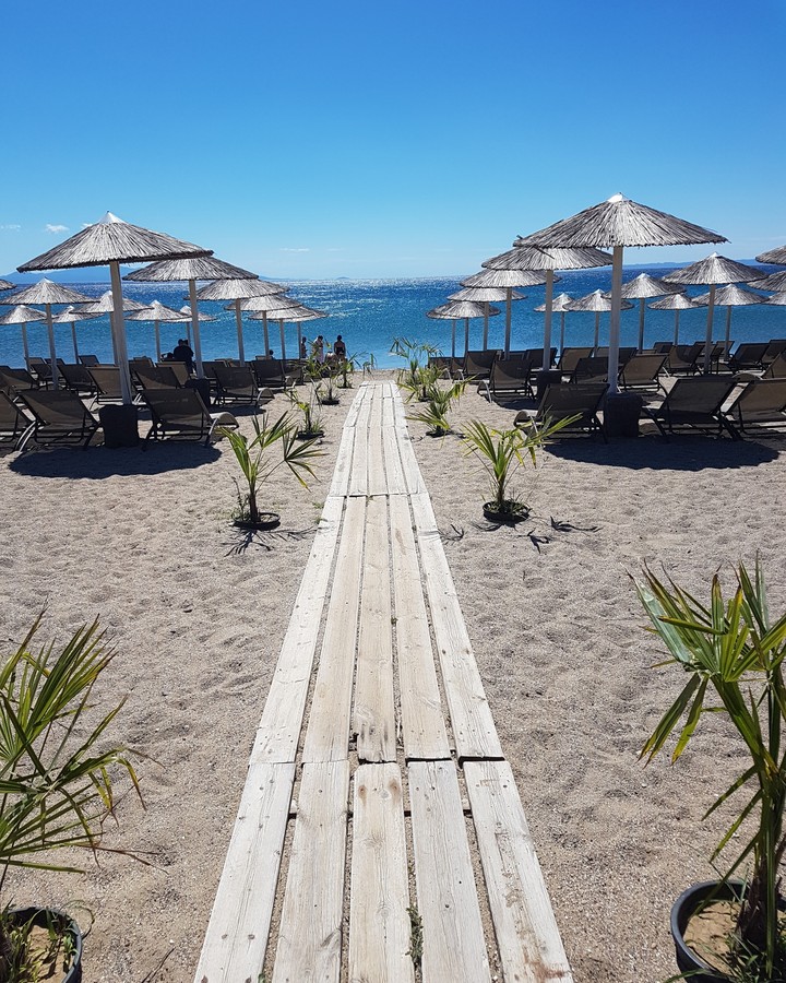 beach life