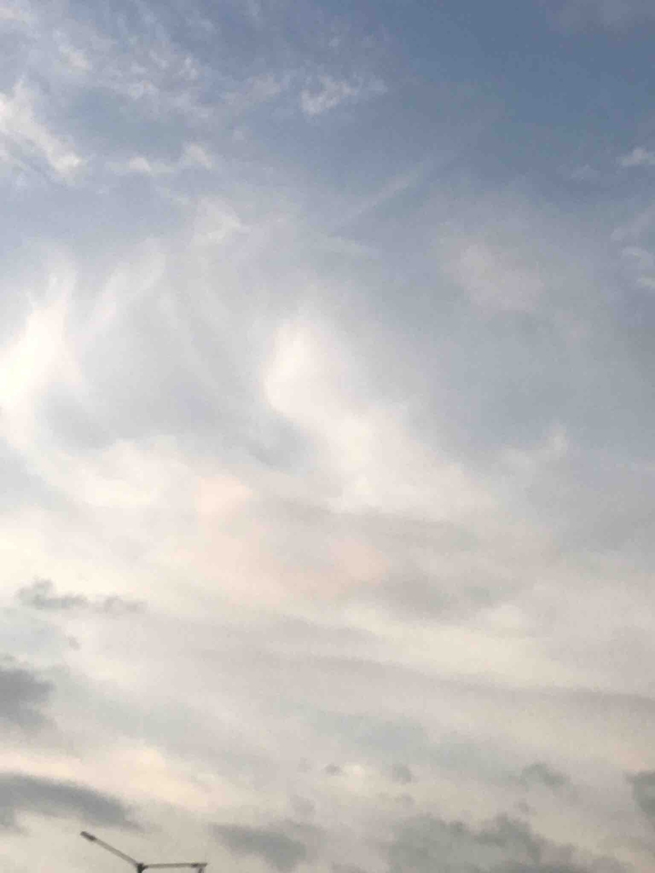 strokes of nature2