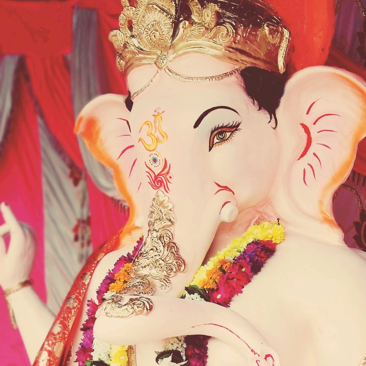 arpit