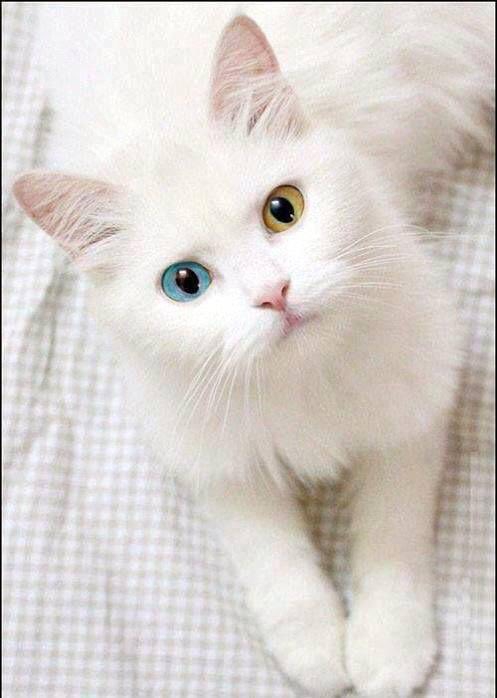14-11-2020#1