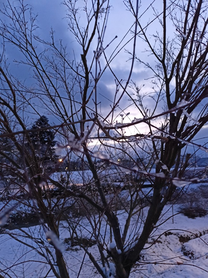 Winter