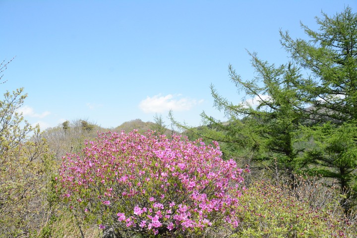 지리산이미지