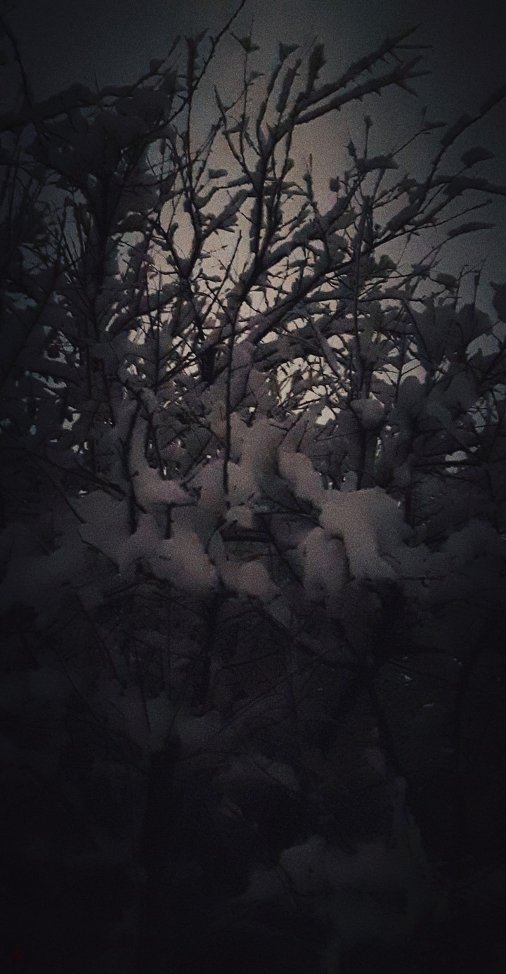 Snow.Lithuania