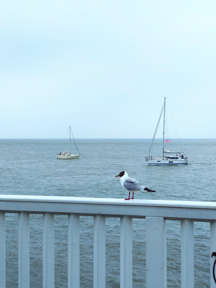Meer