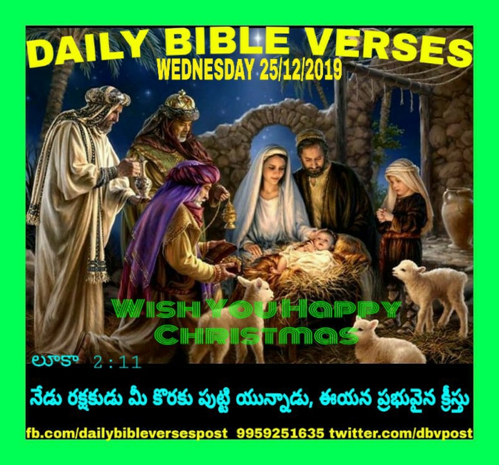 DAILY BIBLE VERSES