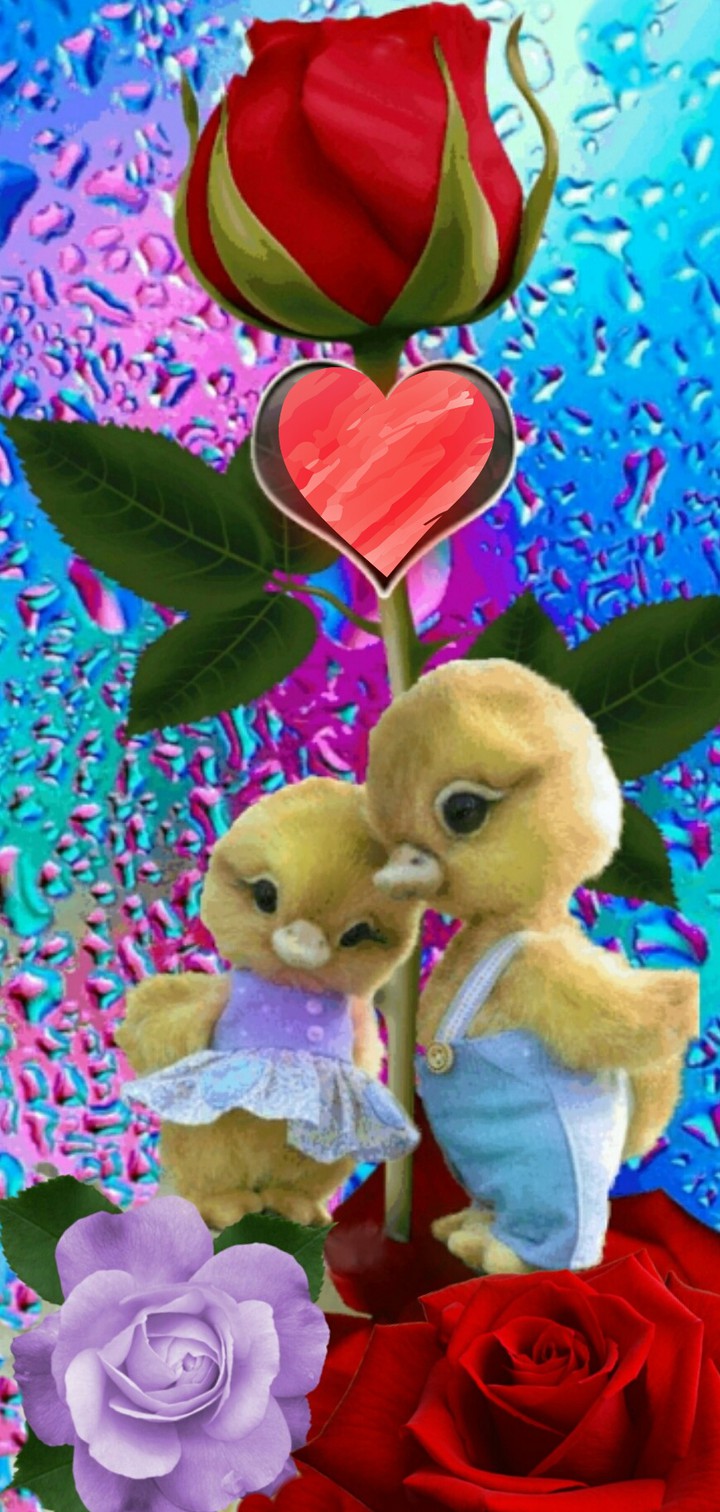 ❤️❤️