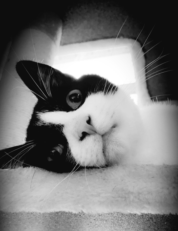 VV sweet snuggs