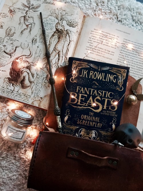 Fantastic beasts