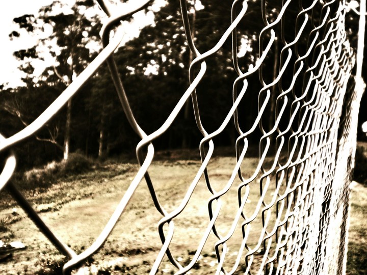 Fencing off Ferocious