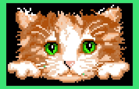 gato