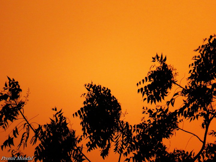 DUSK
