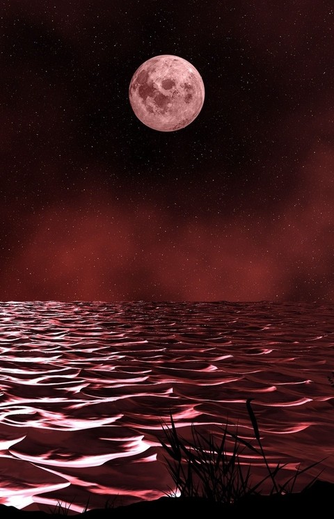 Bloody moon
