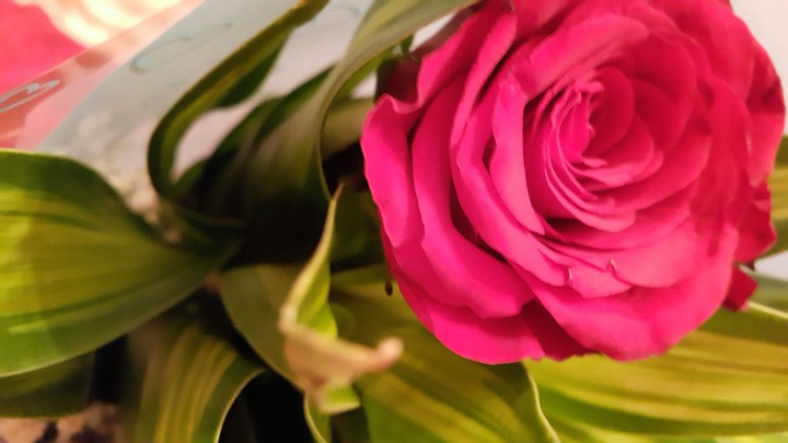 flower