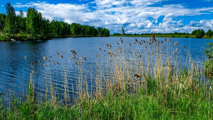 Фото сделано моим одноклассником.