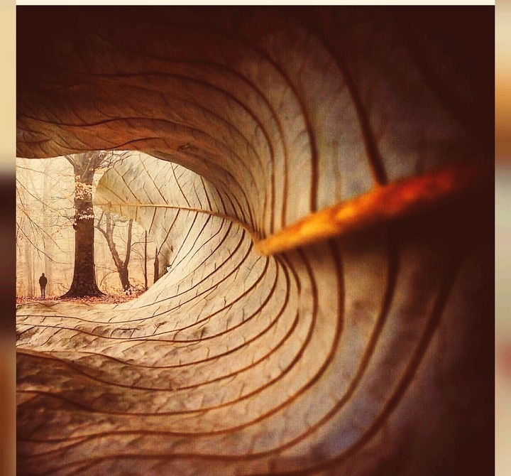 nature with love