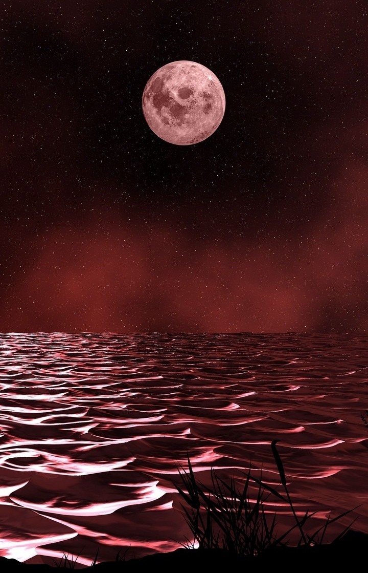 Bloody moon