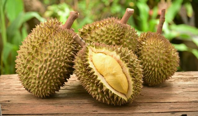 fruits