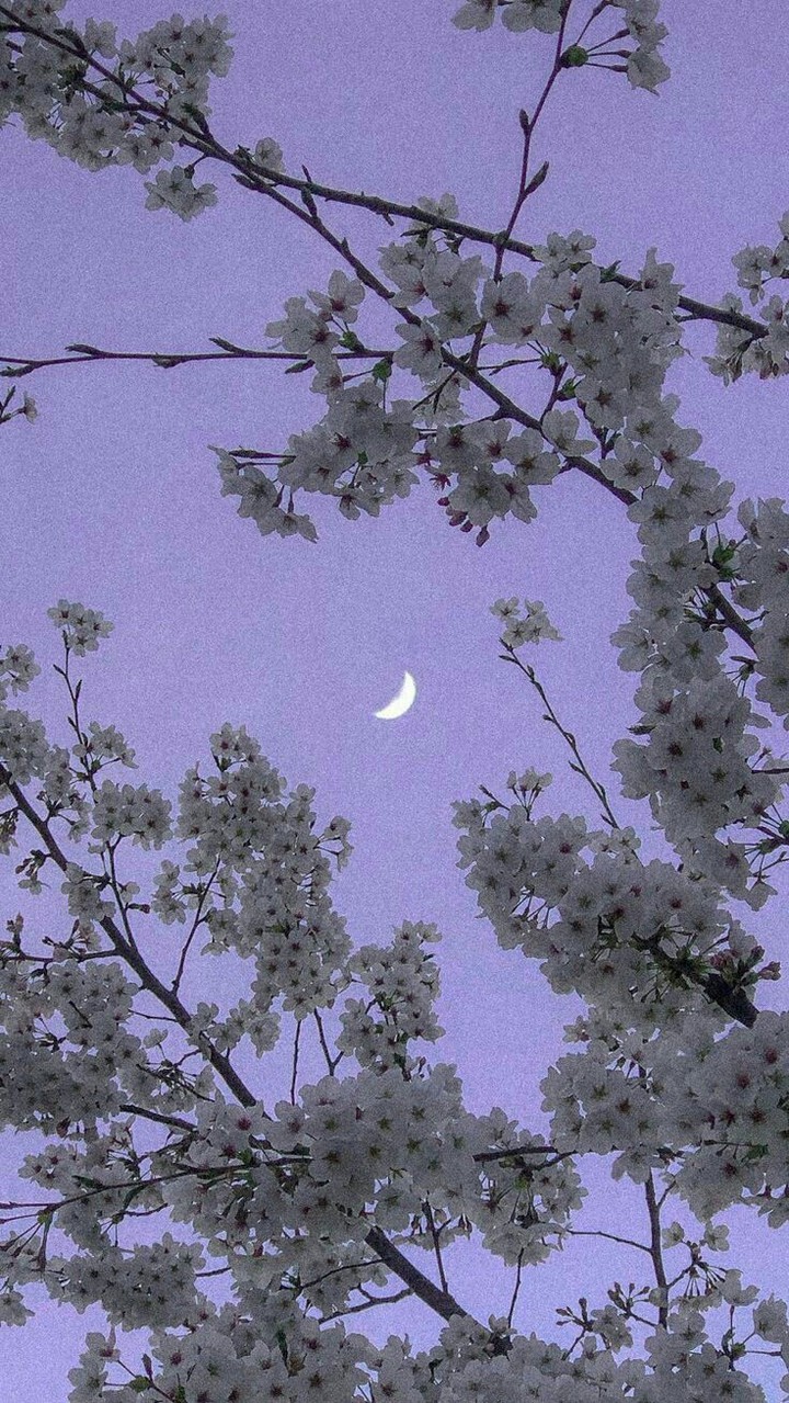 The Moon