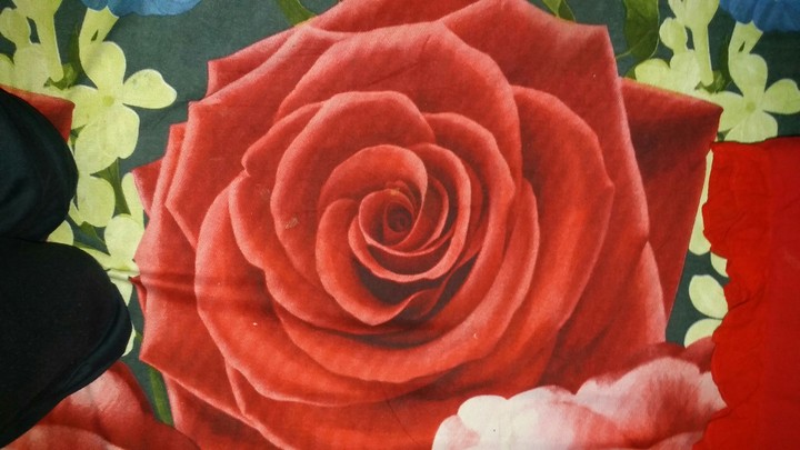 rose painting