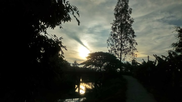 my home