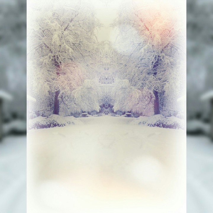 winter_fairy_land